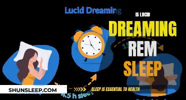 Lucid Dreaming: The REM Sleep Connection