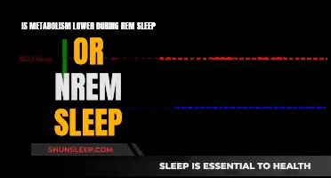 Metabolism and Sleep: REM vs. NREM