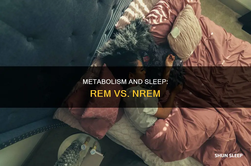 is metabolism lower during rem sleep or nrem sleep