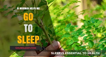 Moringa and Sleep: Can This Superfood Help You Rest Better?