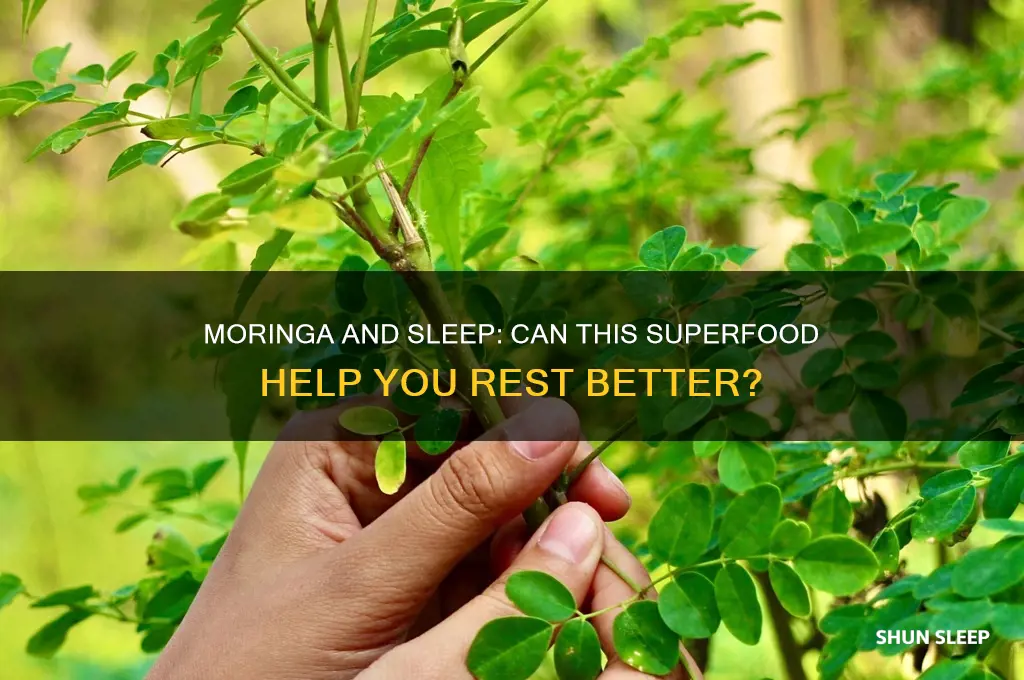 is moringa helps me go to sleep