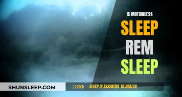 Motionless Sleep: Is It Really REM Sleep?