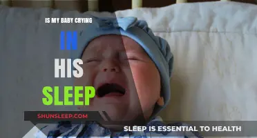 Why Babies Cry in Sleep: Causes, Concerns, and Comforting Tips
