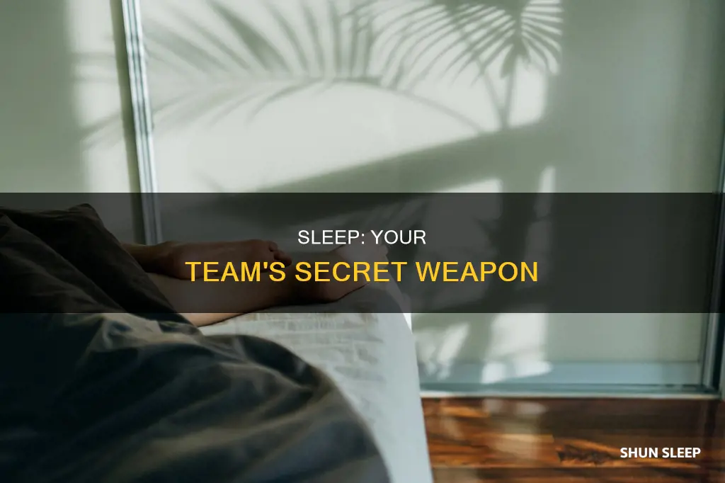 is my team plowing meaning of sleep