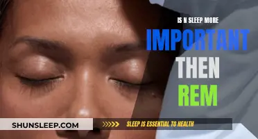 Understanding N Sleep: More Important than REM?