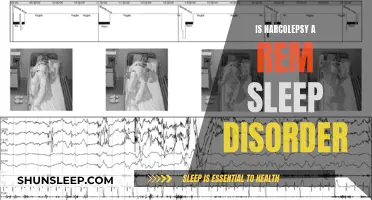 Understanding Narcolepsy: A REM Sleep Disorder?