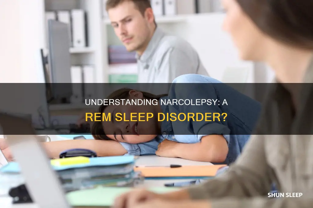 is narcolepsy a rem sleep disorder