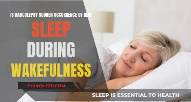 Narcolepsy: REM Sleep Intrudes on Wakefulness