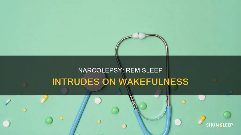 is narcolepsy sudden occurrence of rem sleep during wakefulness