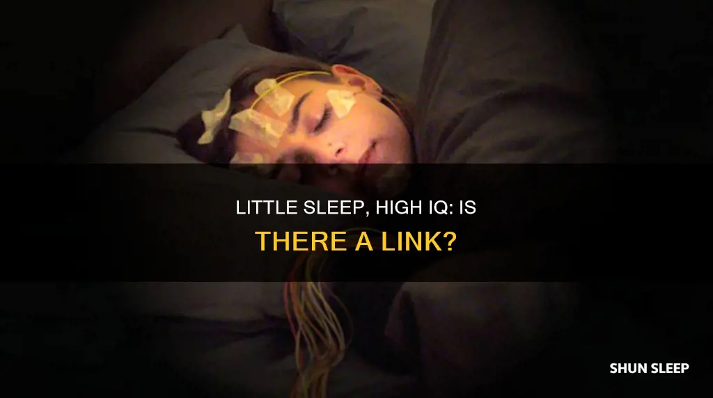 is need for little sleep sign of intelligence