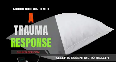 White Noise: Sleep Trauma Response Explained