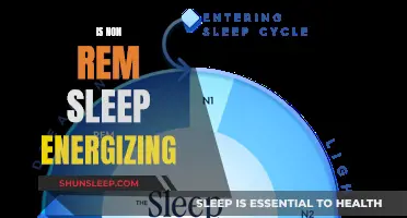 Non-REM Sleep: Energy Restoration and Beyond