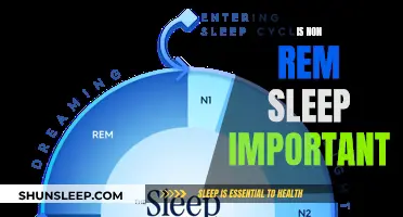 Non-REM Sleep: Essential for Brain Health and Functioning