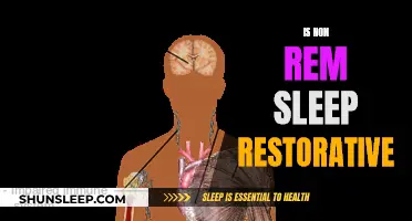 Non-REM Sleep: Restorative or Not?