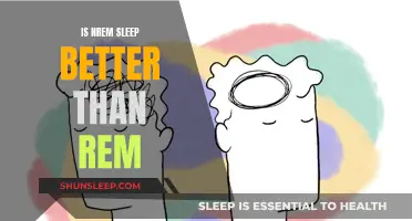 NREM Sleep: Better or Worse Than REM?