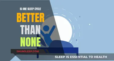 Sleep Cycles: Are They Necessary or Optional?