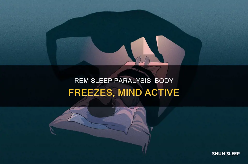 is paralized of the body possible with rem sleep