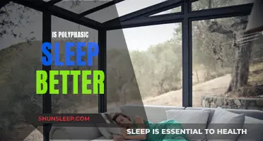 Polyphasic Sleep: Better or Just Different?