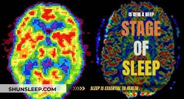 Understanding REM Sleep: A Deep Sleep Stage Explained