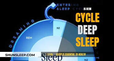 REM Cycle Deep Sleep: What Does It Mean?