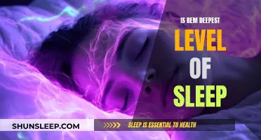 REM Sleep: The Deepest Slumber Explored