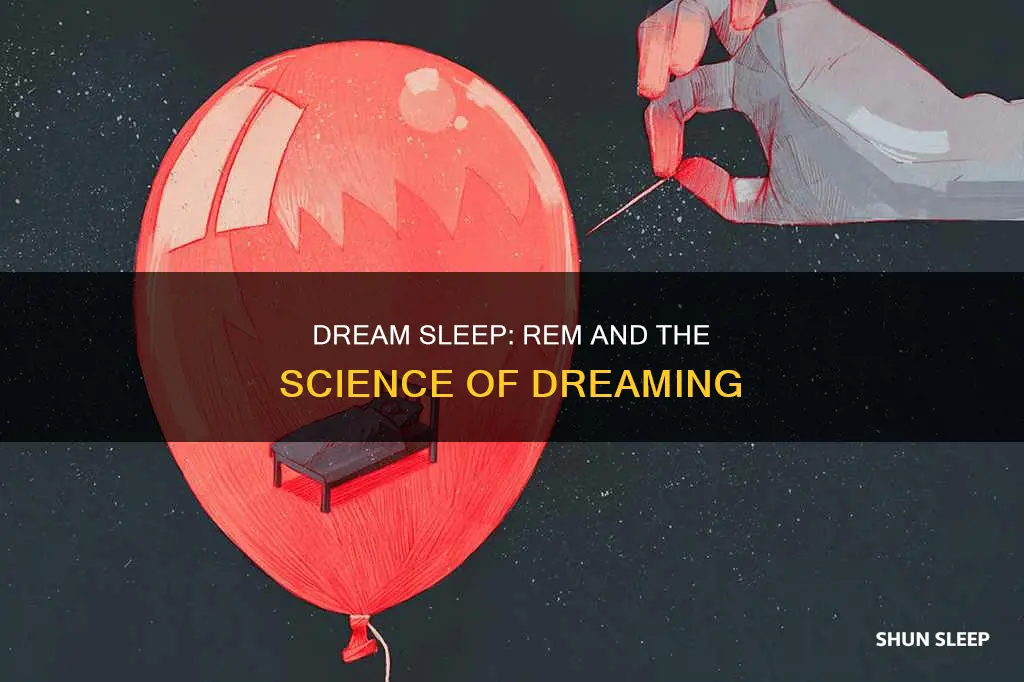 is rem dream sleep