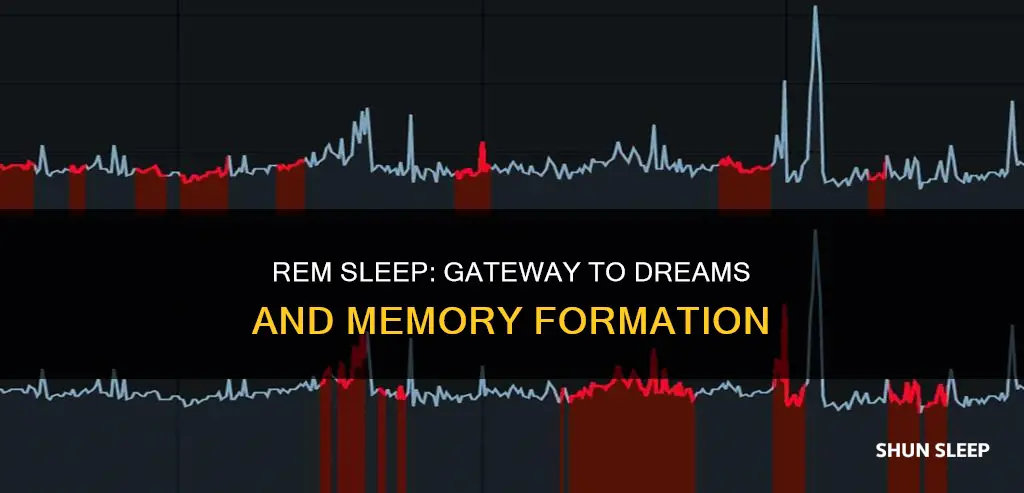 is rem light sleep