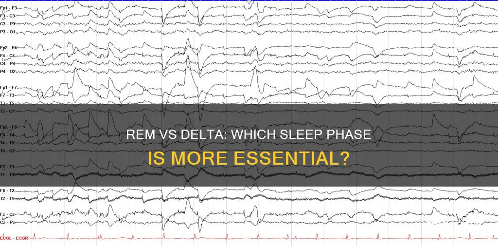 is rem or delta wave sleep more important