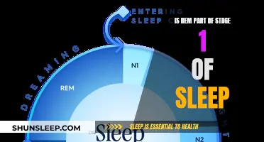 Understanding Sleep: REM and Stage 1 Connection