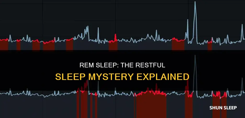 is rem restful sleep