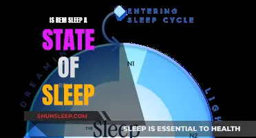 REM Sleep: A Unique Sleep State?