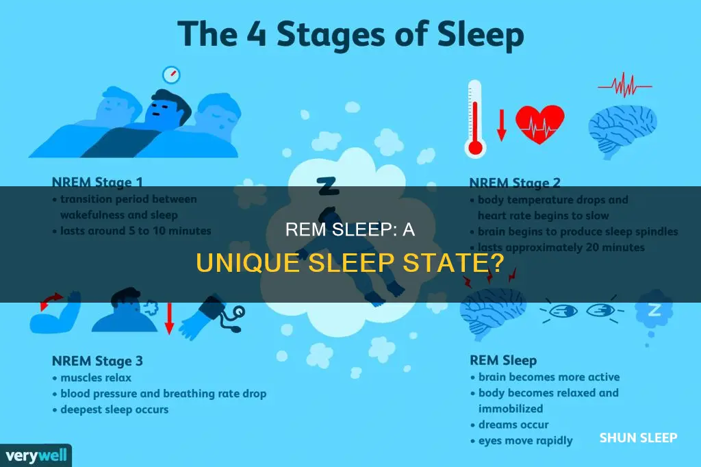 is rem sleep a state of sleep