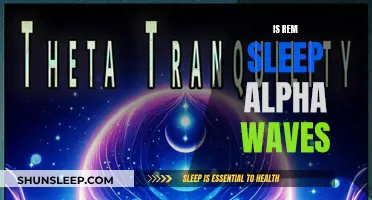 Understanding REM Sleep: The Role of Alpha Waves