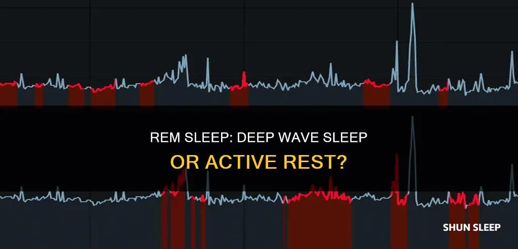 is rem sleep also called deep wave sleep