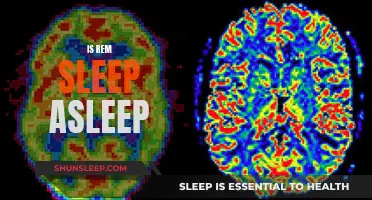 REM Sleep: Are We Really Asleep?