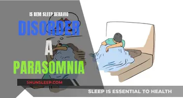 REM Sleep Behavior Disorder: Parasomnia or Something Else?