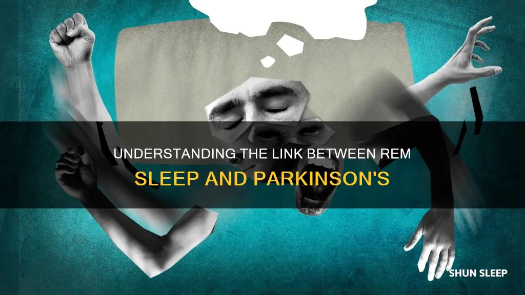 is rem sleep behavior disorder a symptom of parkinsons