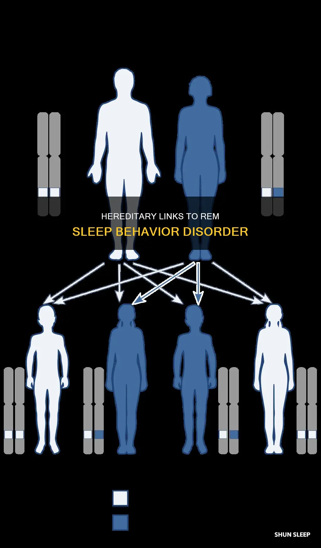 is rem sleep behavior disorder hereditary