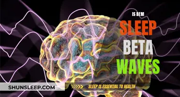 REM Sleep and Beta Waves: A Complex Relationship