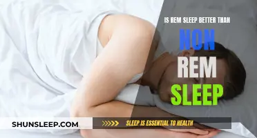 REM Sleep: Better or Worse Than Non-REM Sleep?