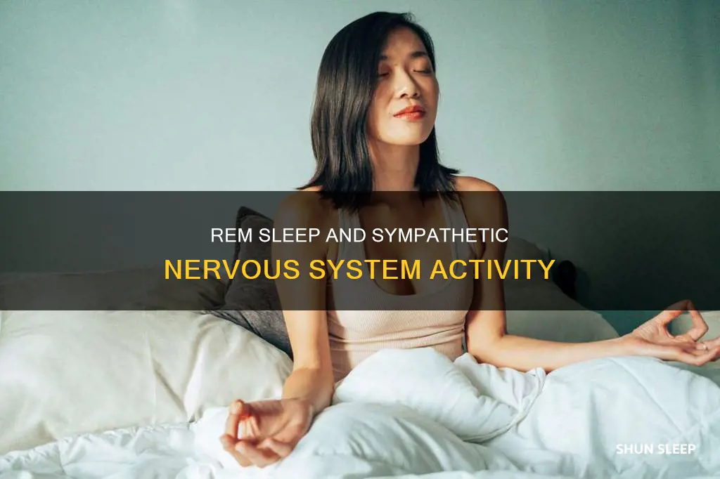 is rem sleep considered the sympathetic