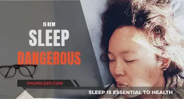 REM Sleep: A Dangerous Dream State?