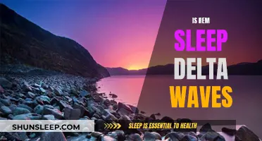 Delta Waves and REM Sleep: Partners in Dreamland