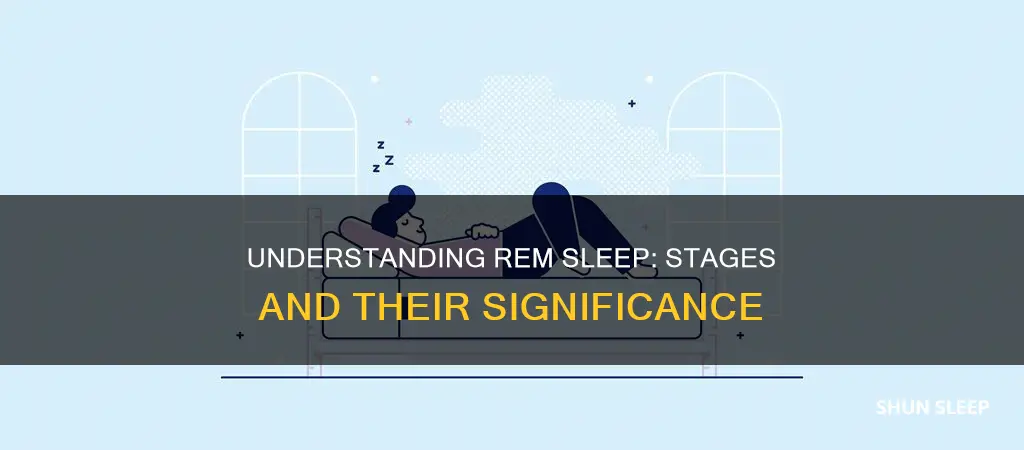 is rem sleep during stage 2 or 3