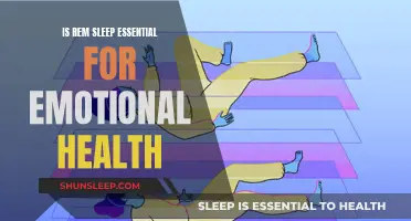 REM Sleep: Essential for Emotional Wellbeing?