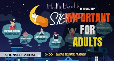 Understanding REM Sleep: Essential for Adult Health