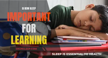 Understanding the Link Between REM Sleep and Learning