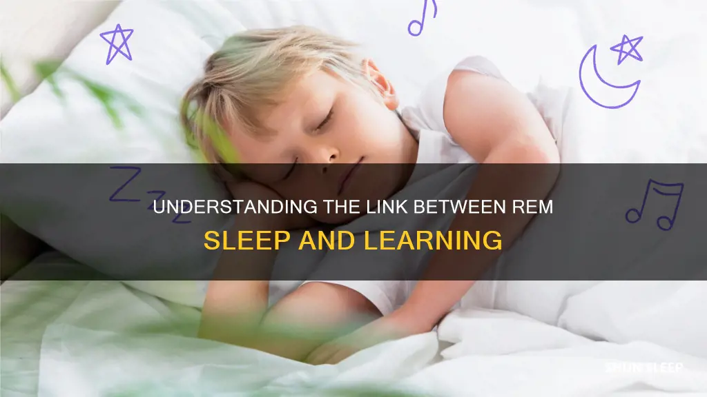 is rem sleep important for learning