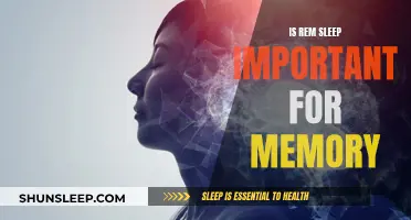 Understanding the Link Between REM Sleep and Memory