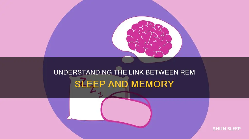 is rem sleep important for memory